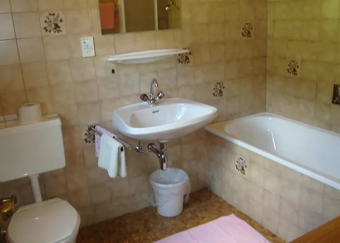 斯卡岑古特酒店 巴德加斯坦