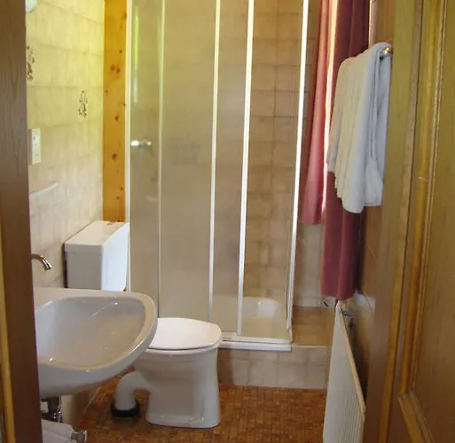 农家乐 斯卡岑古特酒店 巴德加斯坦