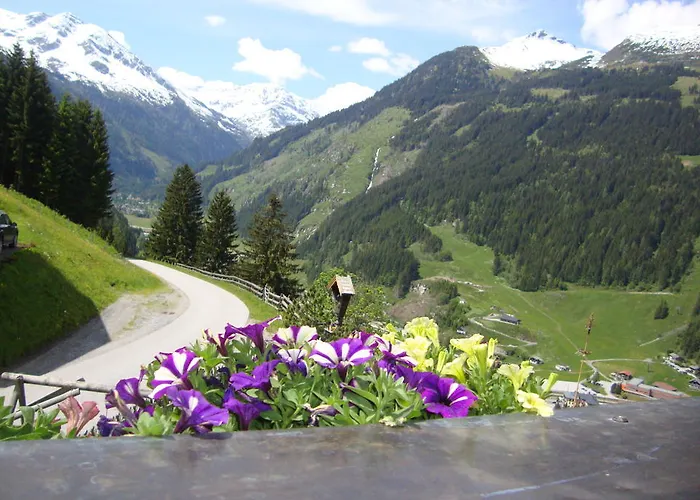 农家乐 斯卡岑古特酒店