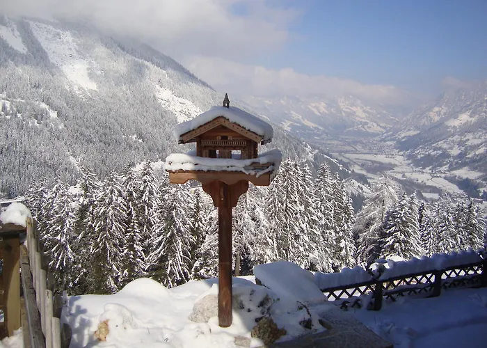 斯卡岑古特酒店 巴德加斯坦